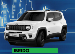 JEEP RENEGADE pay per use