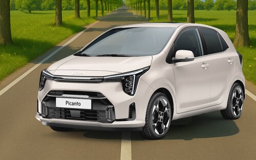 picanto maggio piccolo.jpg